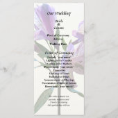 Programme Lily Péruvien Violet (Devant)