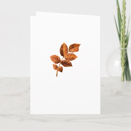 Programme Mariage de dégustation de vins floraux de Bourgogn (Dos)