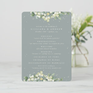 Programme Mariage d'hiver au vert Seafoam + Eucalyptus