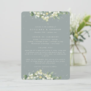 Programme Mariage d'hiver au vert Seafoam + Eucalyptus