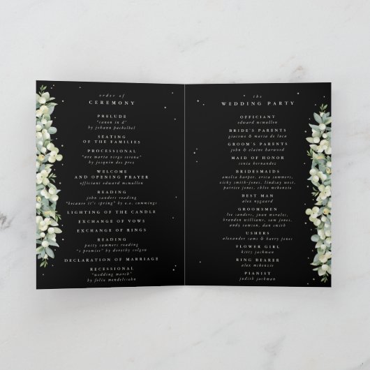 Programme Mariage d'hiver Elégant Black Snowberry+Eucalyptus (Intérieur)