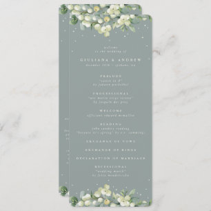 Programme Mariage d'hiver Seafoam Green Snowberry+Eucalyptus