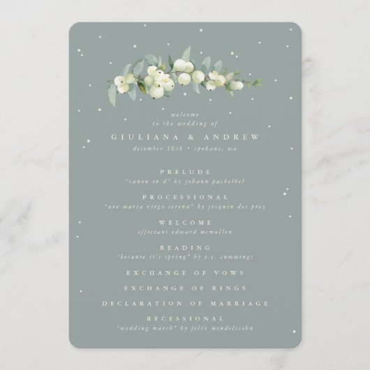 Programme Mariage d'hiver Seafoam Green Snowberry+Eucalyptus (Devant)