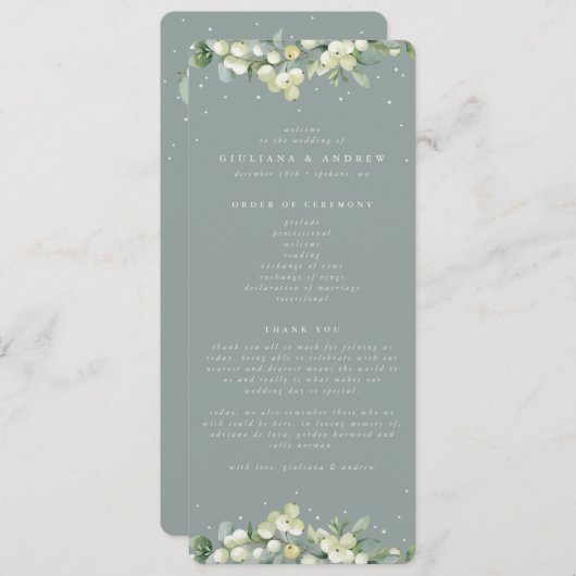 Programme Mariage d'hiver Seafoam Green Snowberry+Eucalyptus (Devant / Derrière)