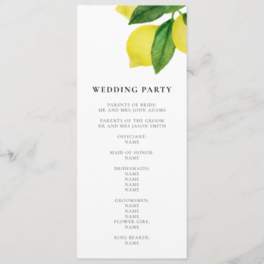 Programme Monogrammes Branche de citron verdure Le parfait a (Dos)