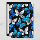 Programme Motif sans couleur foncée avec papillons bleus Mor (Devant / Derrière)