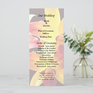 Programme Orchidées jaunes et bordeaux Brassolaeliocattleya