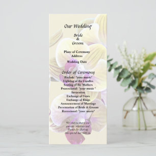 Programme Orchidées Phalaenopsis jaune pâle et magenta