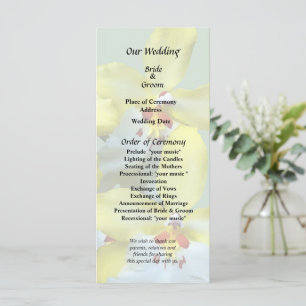 Programme Orchidées Vuylstekeara Jaune et Blanc Cœur