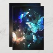 Programme Papillon de nuit (Devant / Derrière)