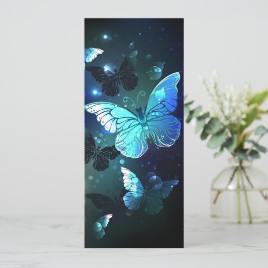 Programme Papillon de nuit (Debout devant)