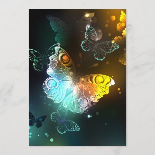 Programme Papillon lumineux et papillons de nuit (Devant)