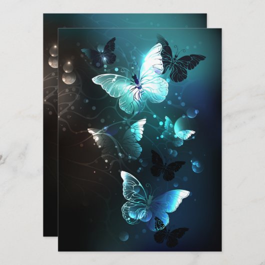 Programme Papillons de nuit (Devant / Derrière)