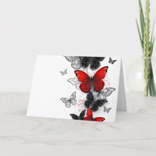 Programme Papillons noirs et rouges volants (Devant)