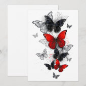 Programme Papillons noirs et rouges volants (Devant / Derrière)