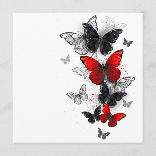 Programme Papillons noirs et rouges volants (Devant)