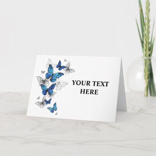 Programme Papillons volants bleus Morpho (Devant)