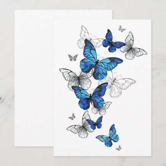 Programme Papillons volants bleus Morpho (Devant / Derrière)