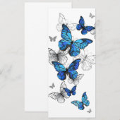 Programme Papillons volants bleus Morpho (Devant / Derrière)