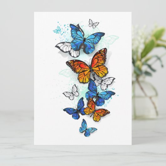 Programme Papillons volants Morpho et Monarch (Debout devant)