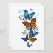 Programme Papillons volants Morpho et Monarch (Devant / Derrière)