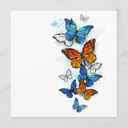 Programme Papillons volants Morpho et Monarch (Devant)