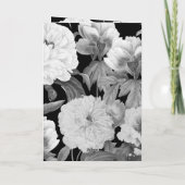 Programme Peonies noires et blanches Mariage Ordre de servic (Dos)