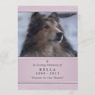 Programme Pet Memorial Card 5"x7" rose moderne - Femme Pet