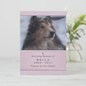 Programme Pet Memorial Card 5"x7" rose moderne - Femme Pet (Debout devant)