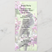 Programme Phoebe dans un arbre Redbud (Dos)