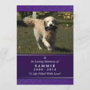 Programme Photo violette 5"x7" pour animaux de compagnie - H