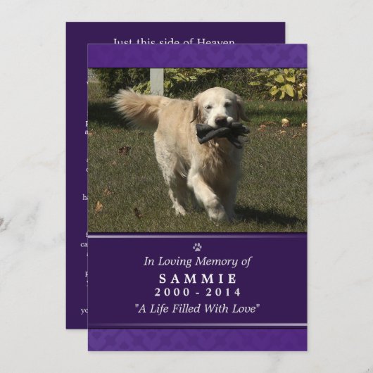 Programme Photo violette 5"x7" pour animaux de compagnie - H (Devant / Derrière)