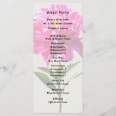 Programme Pivoine Rose Clair (Dos)