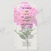 Programme Pivoine Rose Vivid (Devant / Derrière)