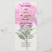 Programme Pivoine Rose Vivid (Devant)