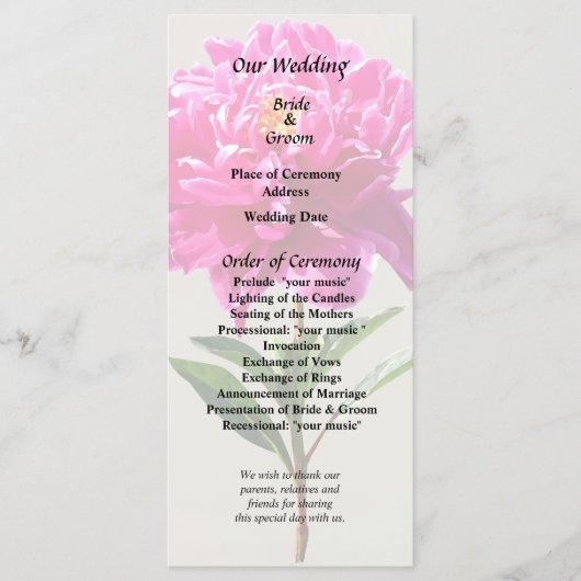 Programme Pivoine Rose Vivid (Devant)