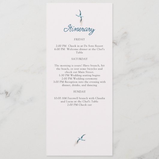 Programme Plage côtière Mariage Océan (Dos)