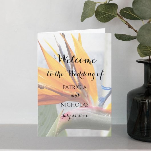 Programme Plante Fleurie Oiseau de Paradis Tropical Mariage