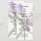 Programme Purple Peruvian Lily (Devant / Derrière)