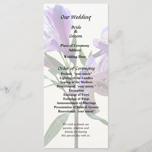 Programme Purple Peruvian Lily (Devant)