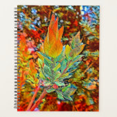 Programme quotidien de couverture dure (Devant)