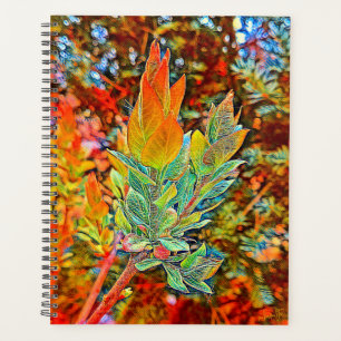 Programme quotidien de couverture dure