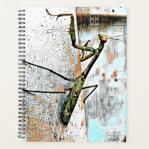 Programme quotidien de couverture dure