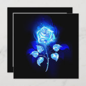 Programme Rose bleu brûlant (Devant / Derrière)