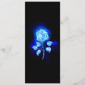 Programme Rose bleu brûlant (Devant)