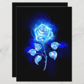 Programme Rose bleu brûlant (Devant / Derrière)