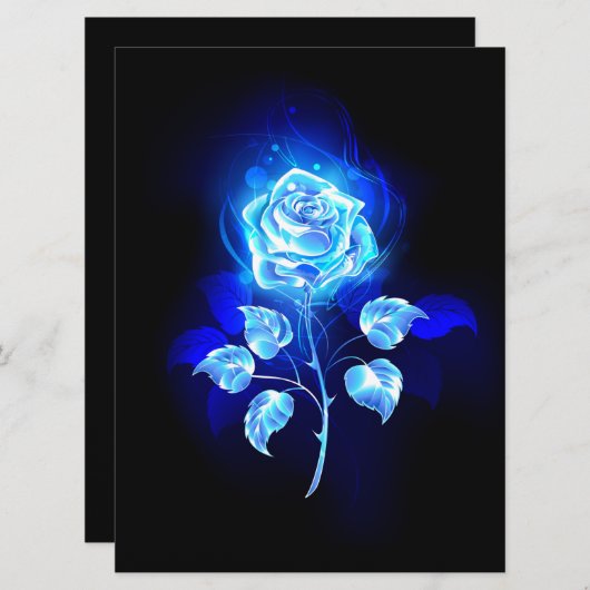 Programme Rose bleu brûlant (Devant / Derrière)