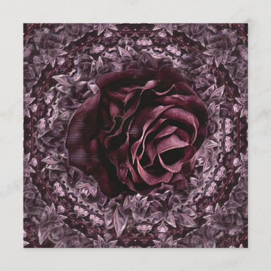 Programme Rose Mandala (Devant)