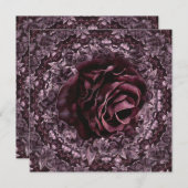 Programme Rose Mandala (Devant / Derrière)