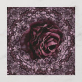 Programme Rose Mandala (Dos)